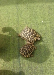 10479137_10206878954723505_1210333025168983398_n