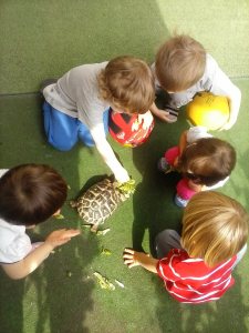 10869818_10206878948603352_8348158983202032595_o