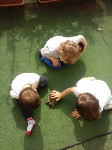 11148844_10206878952563451_513797938195082166_o