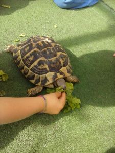 11212634_10206878950843408_2165790384797536862_o