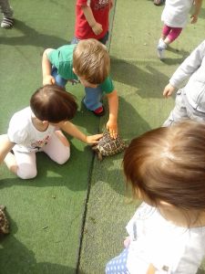 11226579_10206878953163466_7033799665199967546_o