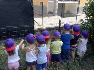 11755921_10207180125447279_8441746189418822411_n