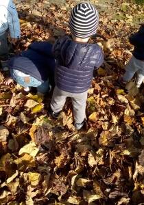 11864839_10153431817273876_957779974425033807_o