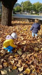 11864942_10153431818008876_6868943335138464237_o