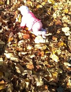 12052431_10153431818093876_1880688516171629479_o