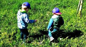 13087477_10153856208238876_6360399614113248981_n