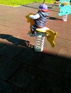 13100684_10153856208153876_8086374290121617907_n